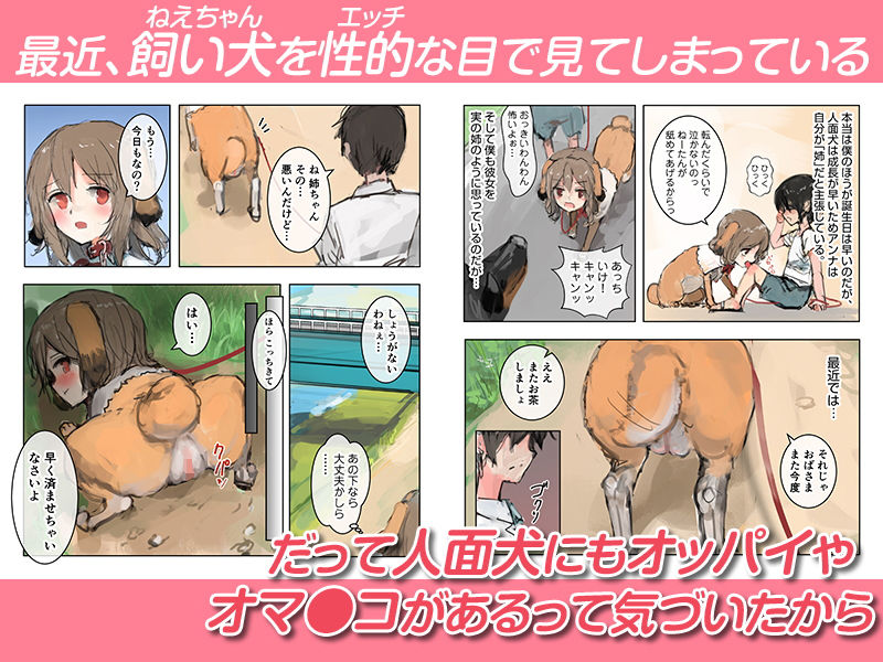 美人面犬の飼い方