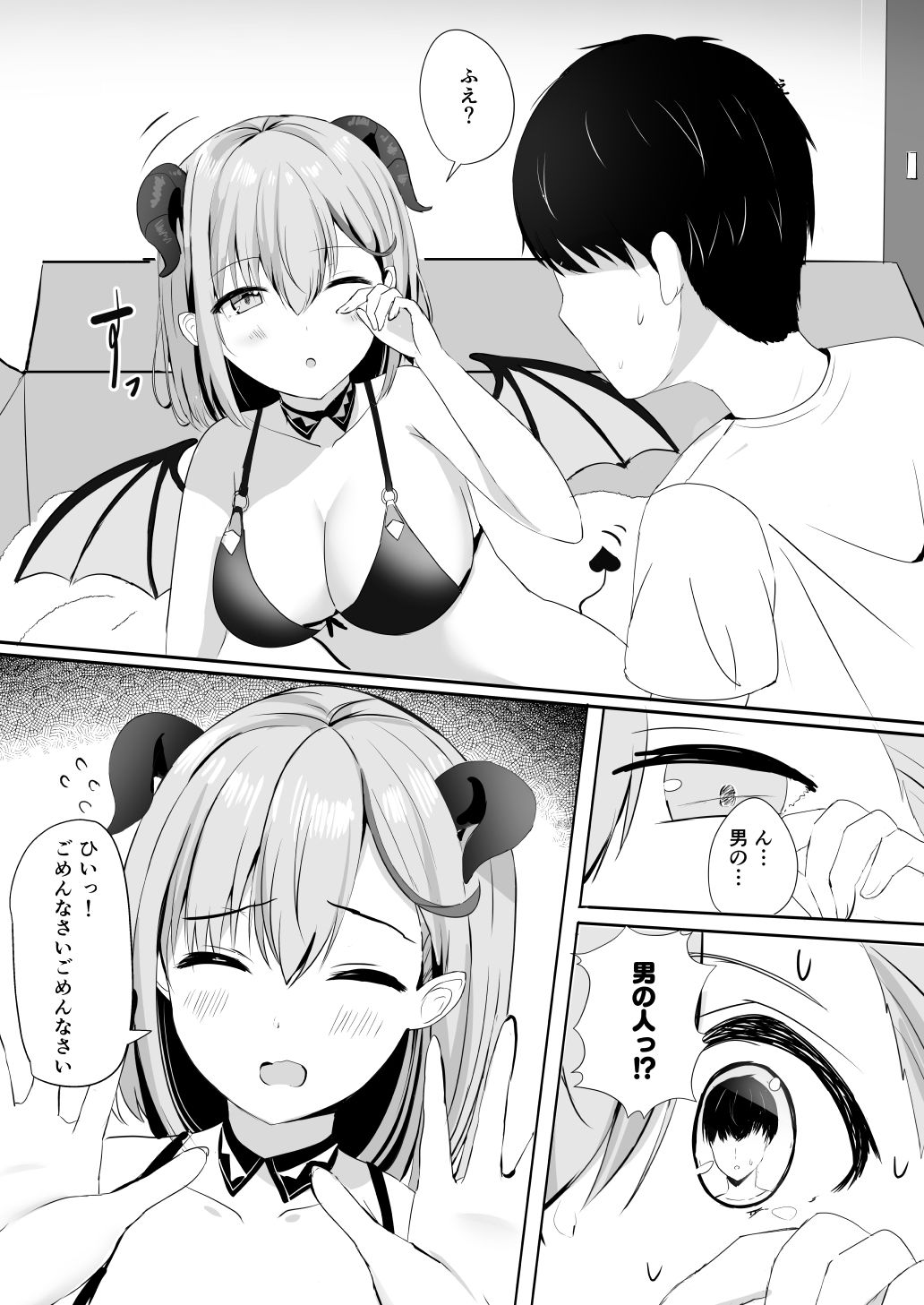 ふるさと納税したら陰キャなサキュバスが返礼されました