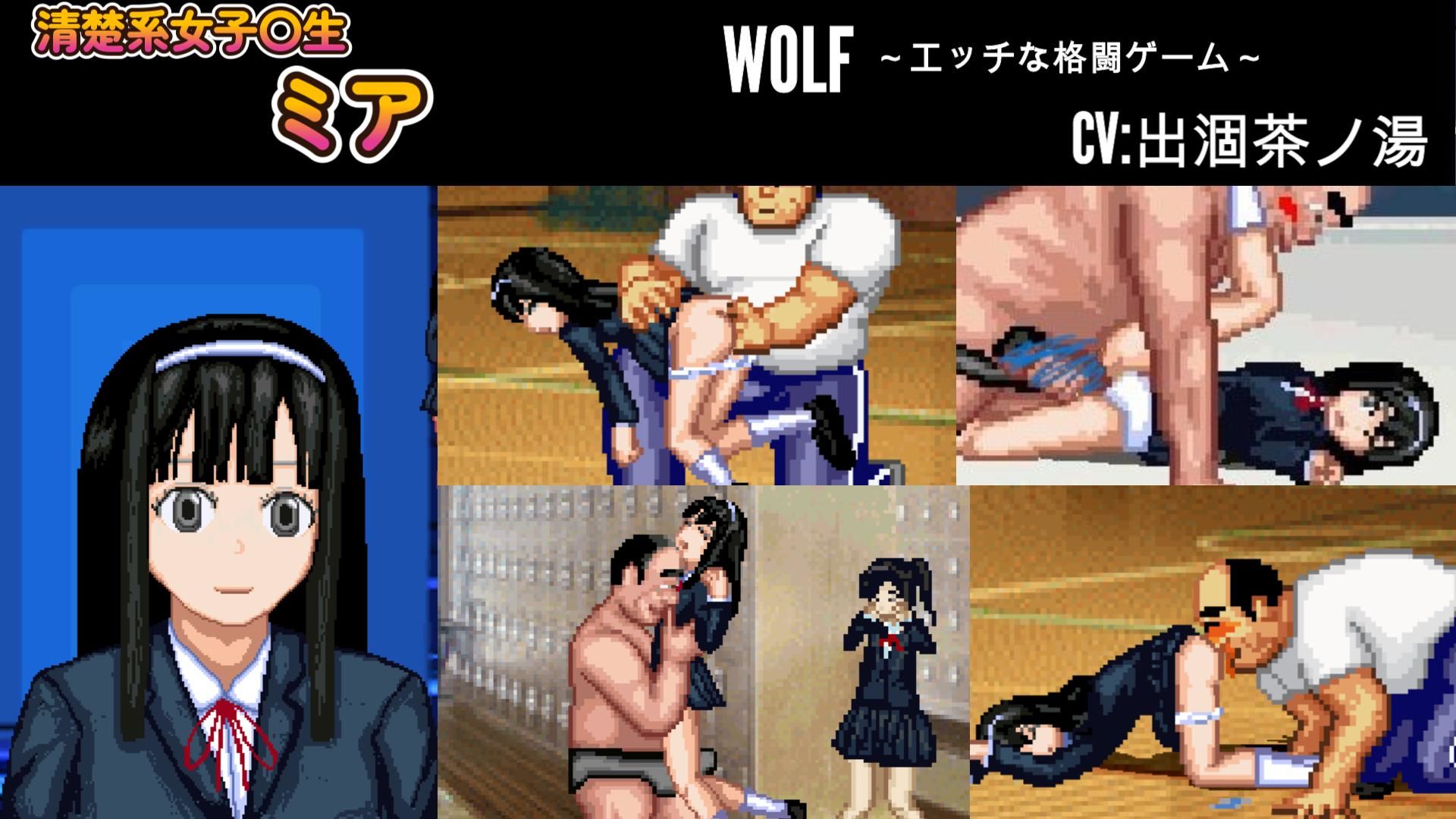 WOLF〜エッチなアップデート追加型格闘ゲーム〜