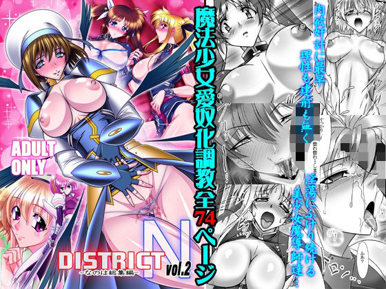 DISTRICT N vol.2