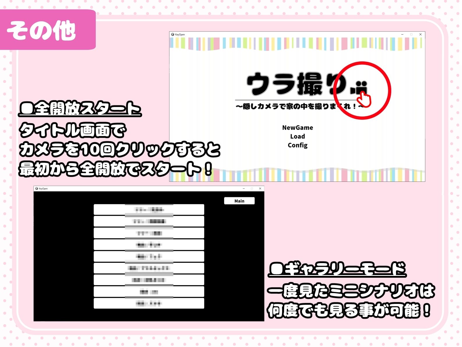 ウラ撮り 〜隠しカメラで家の中を撮りまくれ！〜