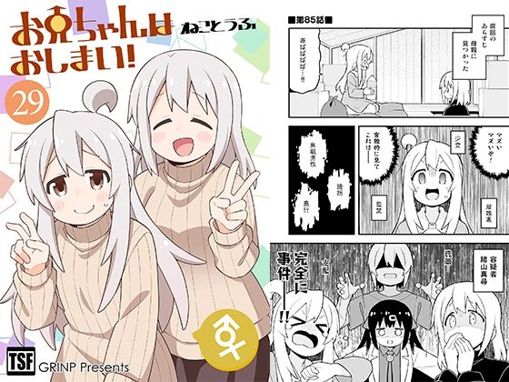 お兄ちゃんはおしまい！29